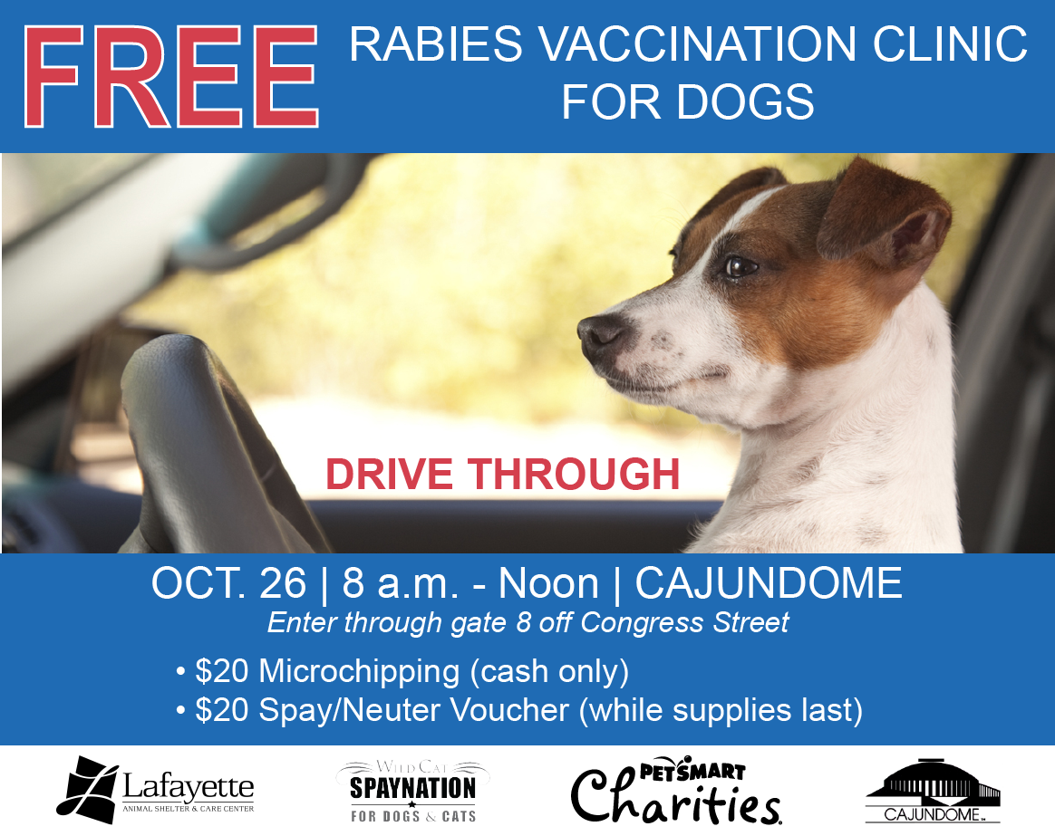 Animal Shelter Partners to Offer Free Rabies Vaccinations for Dogs