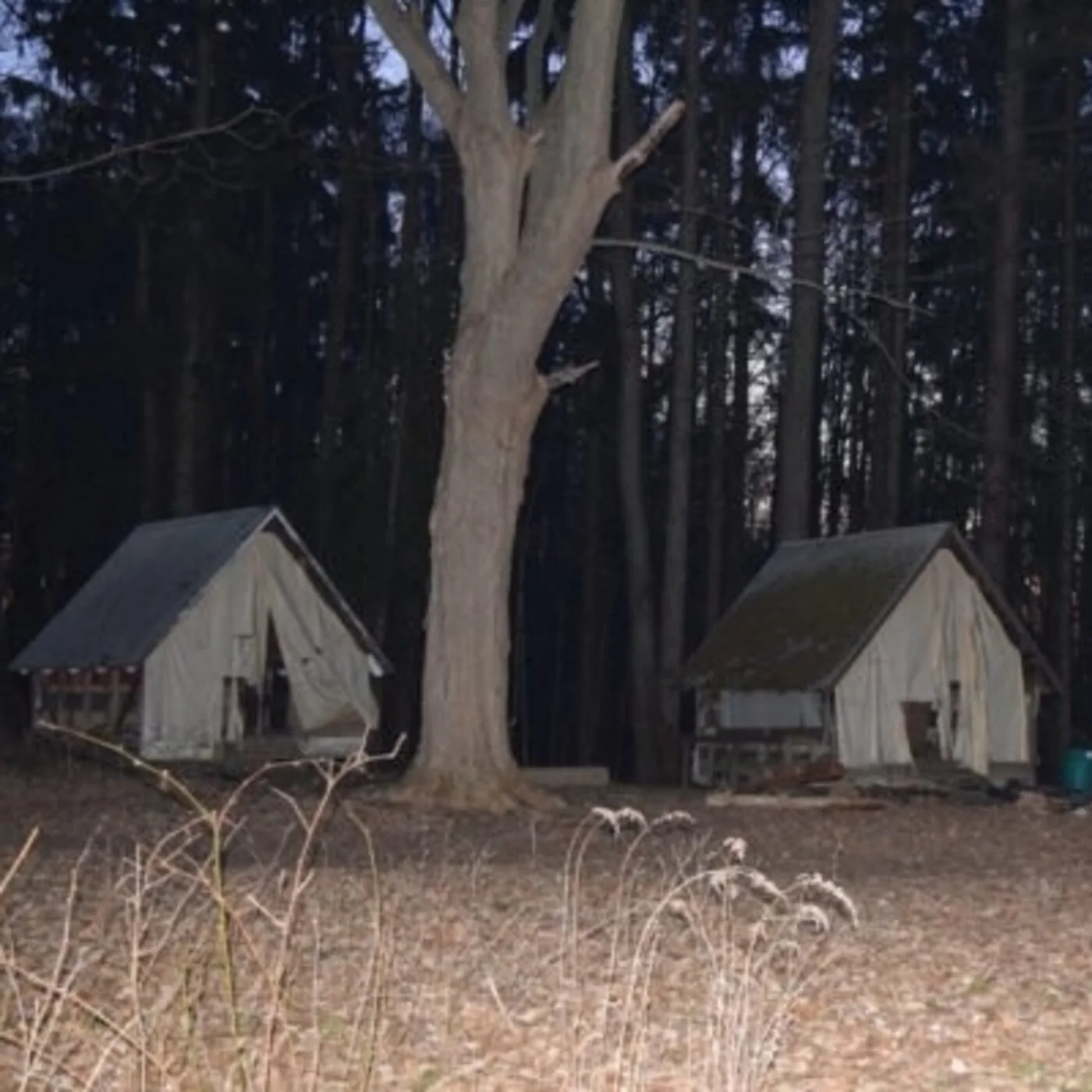 FFFF Ep001 Fave Five Camp Horror Films