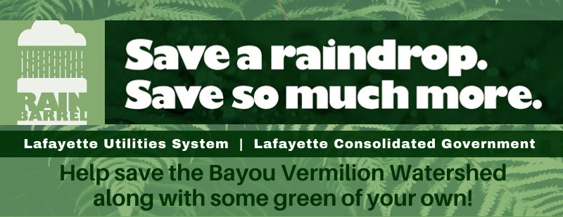 Popular Rain Barrel Program Back in Limited Supply 