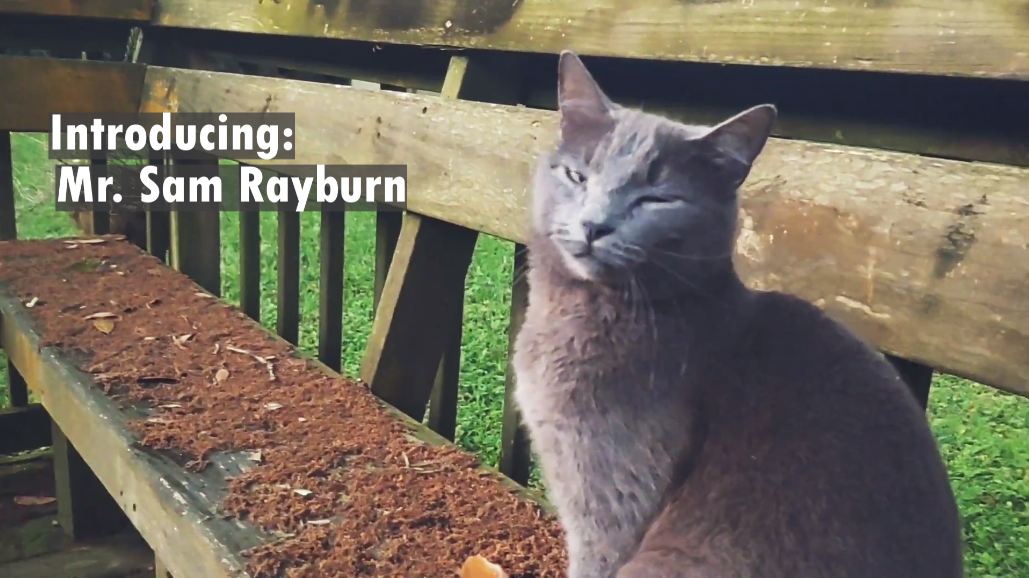 Tells us how you’re doing.