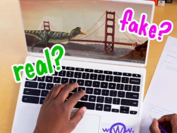Hoaxes and Fakes