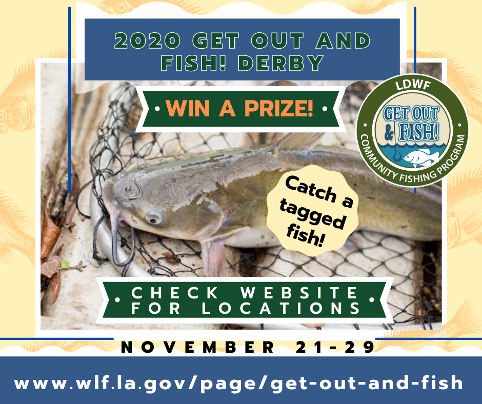 GET OUT AND FISH! DERBY 