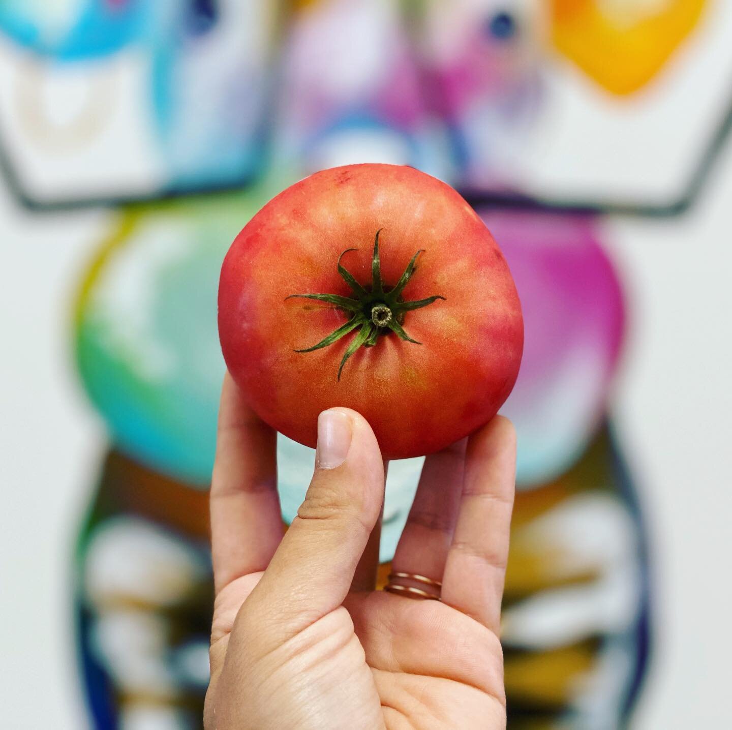 HOW gorgeous are these Organic Heirloom Tomatoes from @poconoorganics?! Two day home delivery, or pop by our Sunday Market for these beauts! 🍅