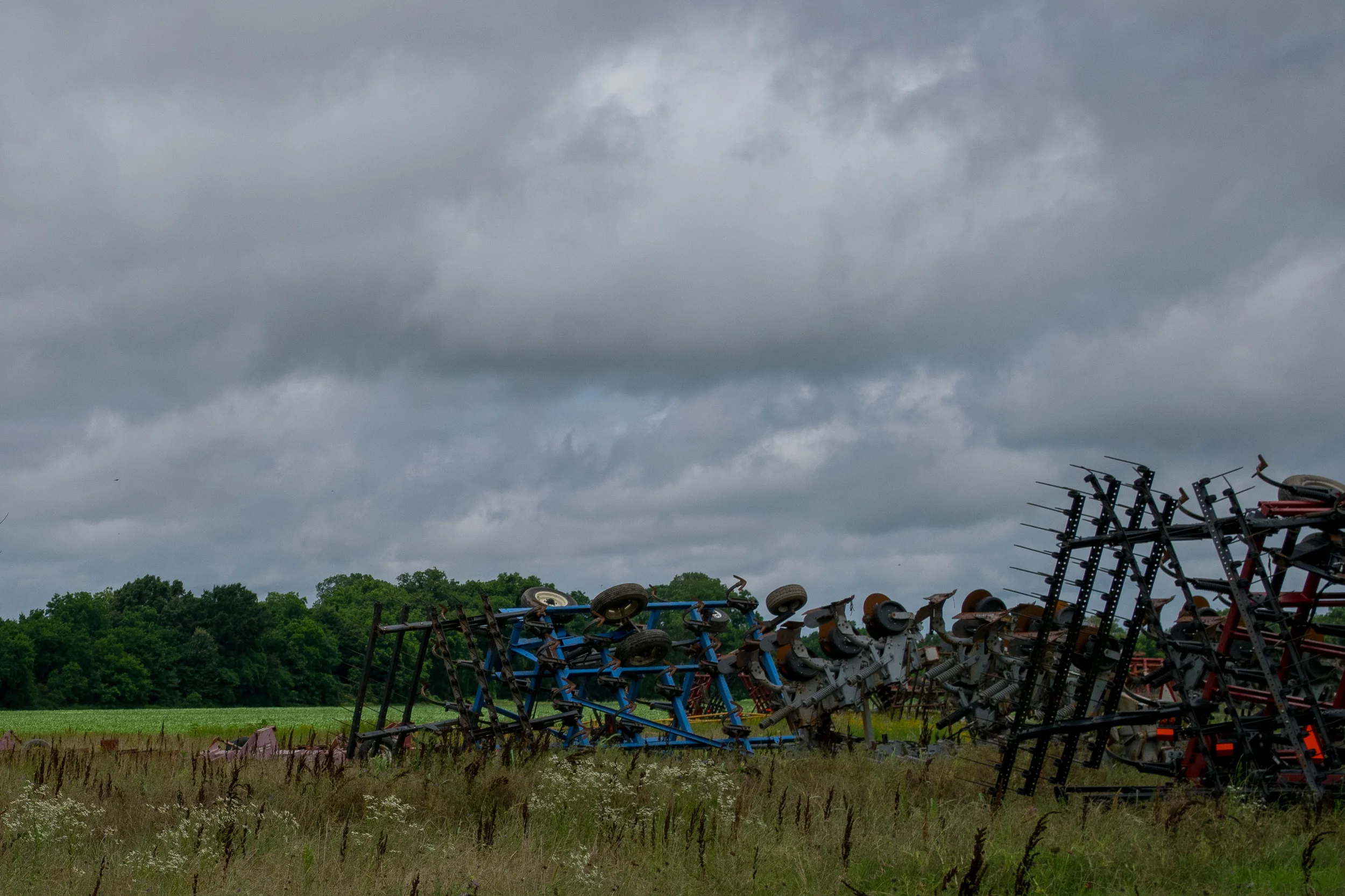 Dockery Farms' Backyard