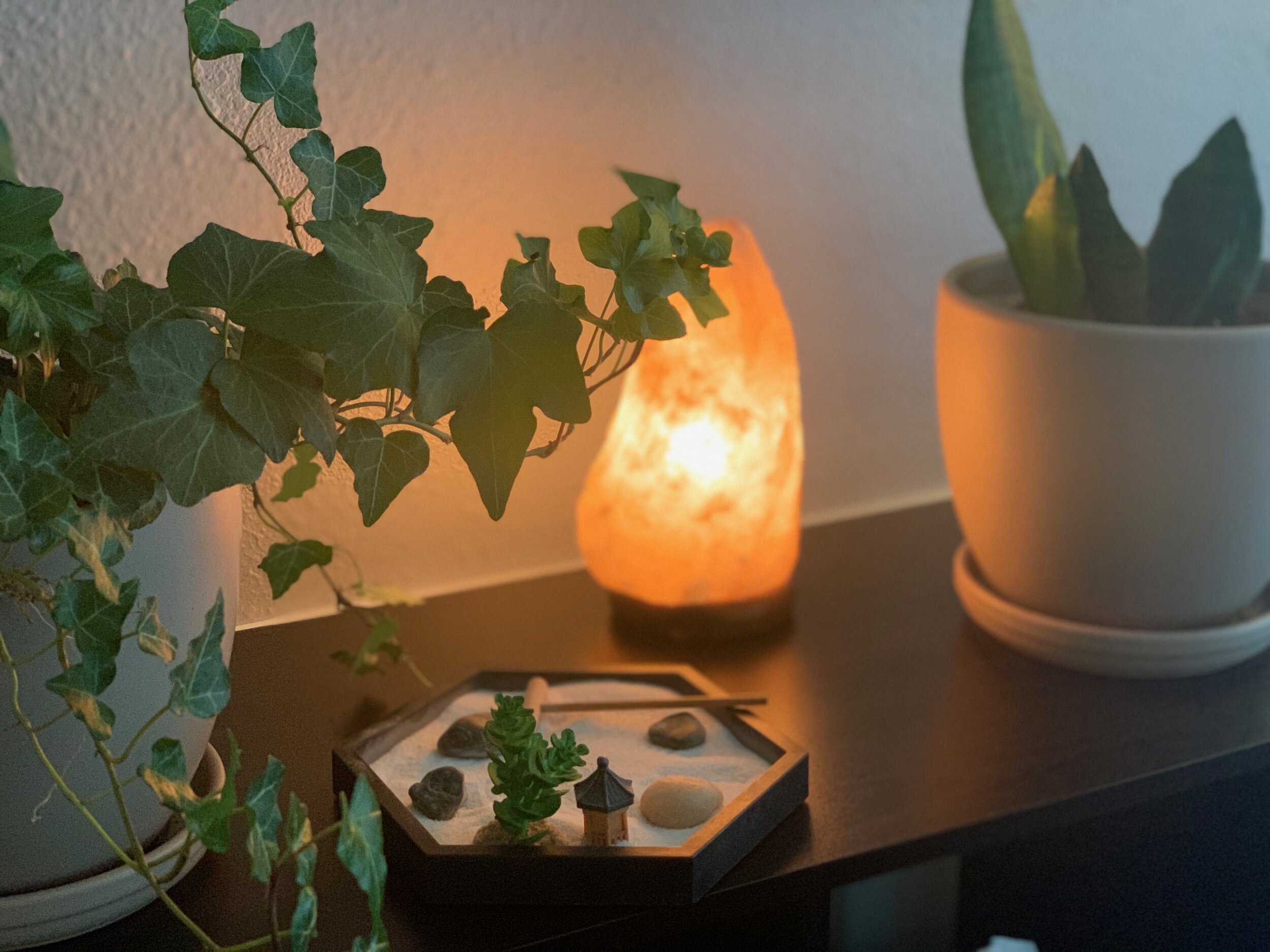 How Can Integrative Oncology Help Those With Cancer? by Mari Galle L.Ac, DACM