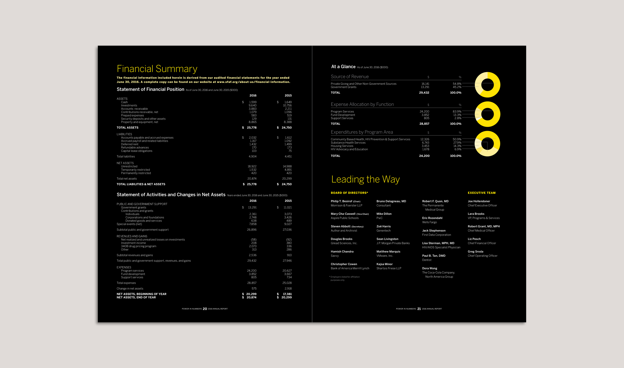 Digital Annual Report (Financials Spread)