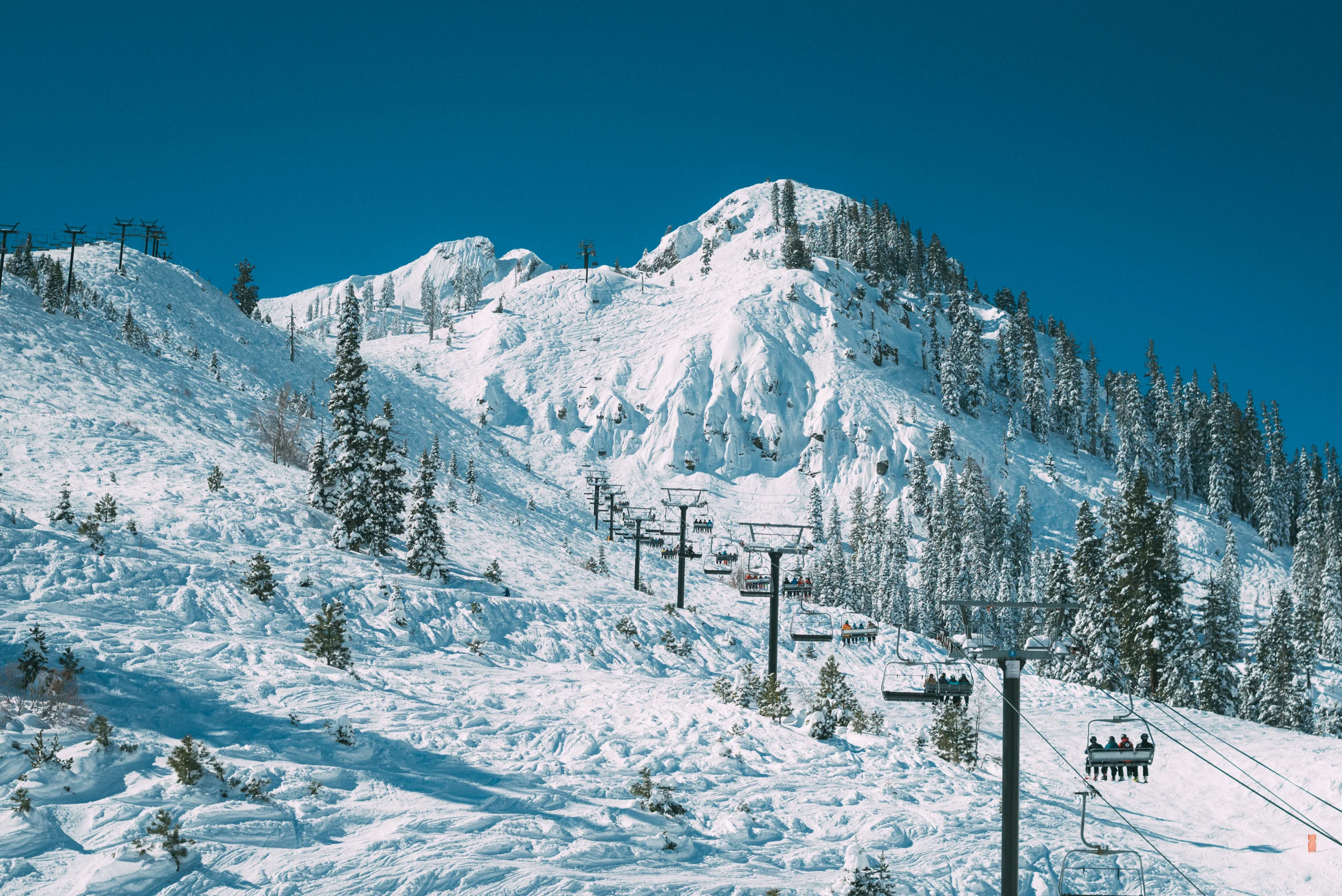 DSC_1967.jpg