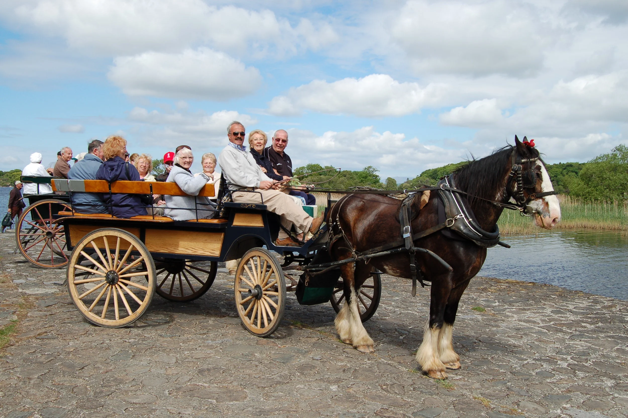 adults horse and cart.jpg