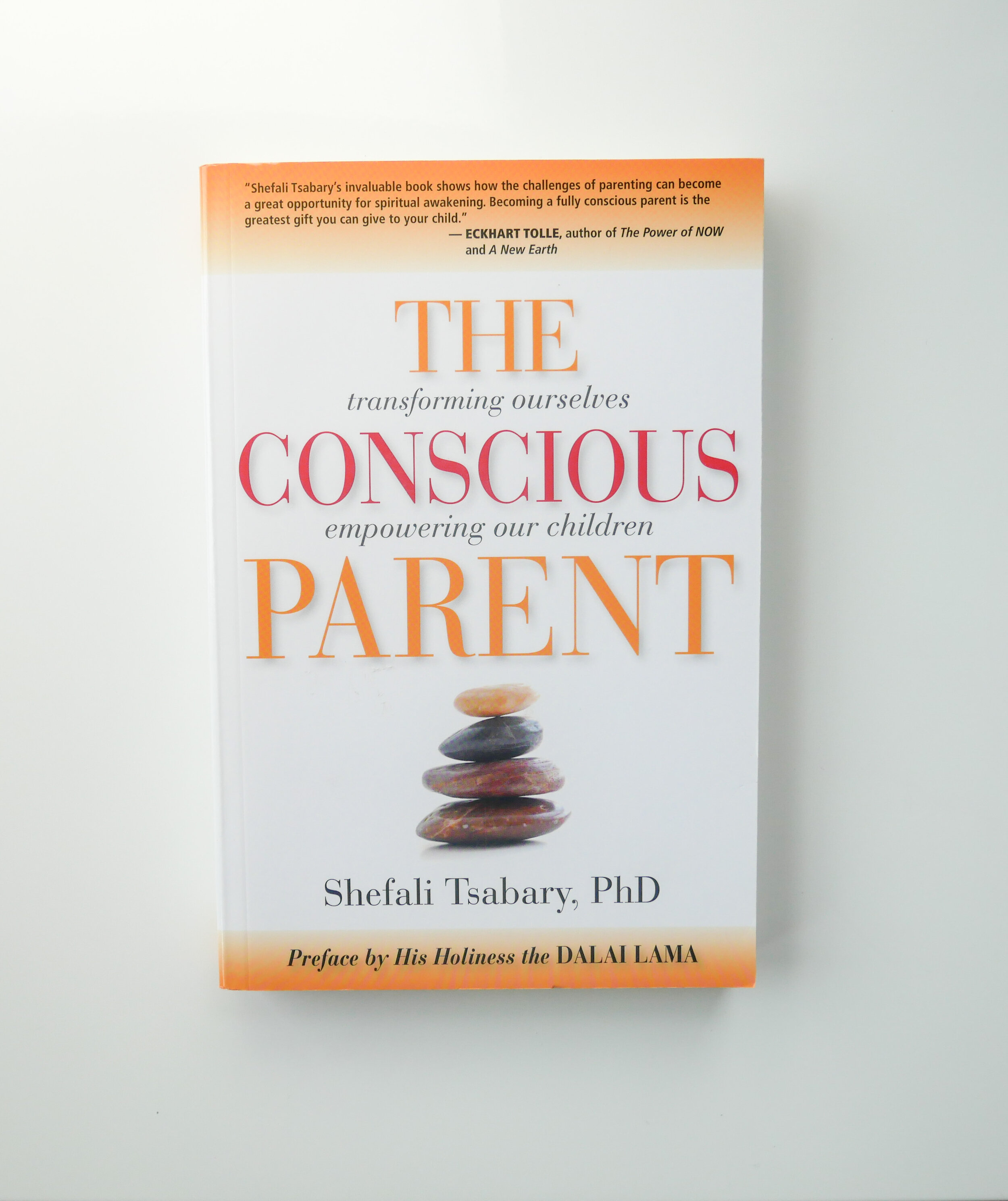 The Conscious Parent: Transforming Ourselves, Empowering Our Children