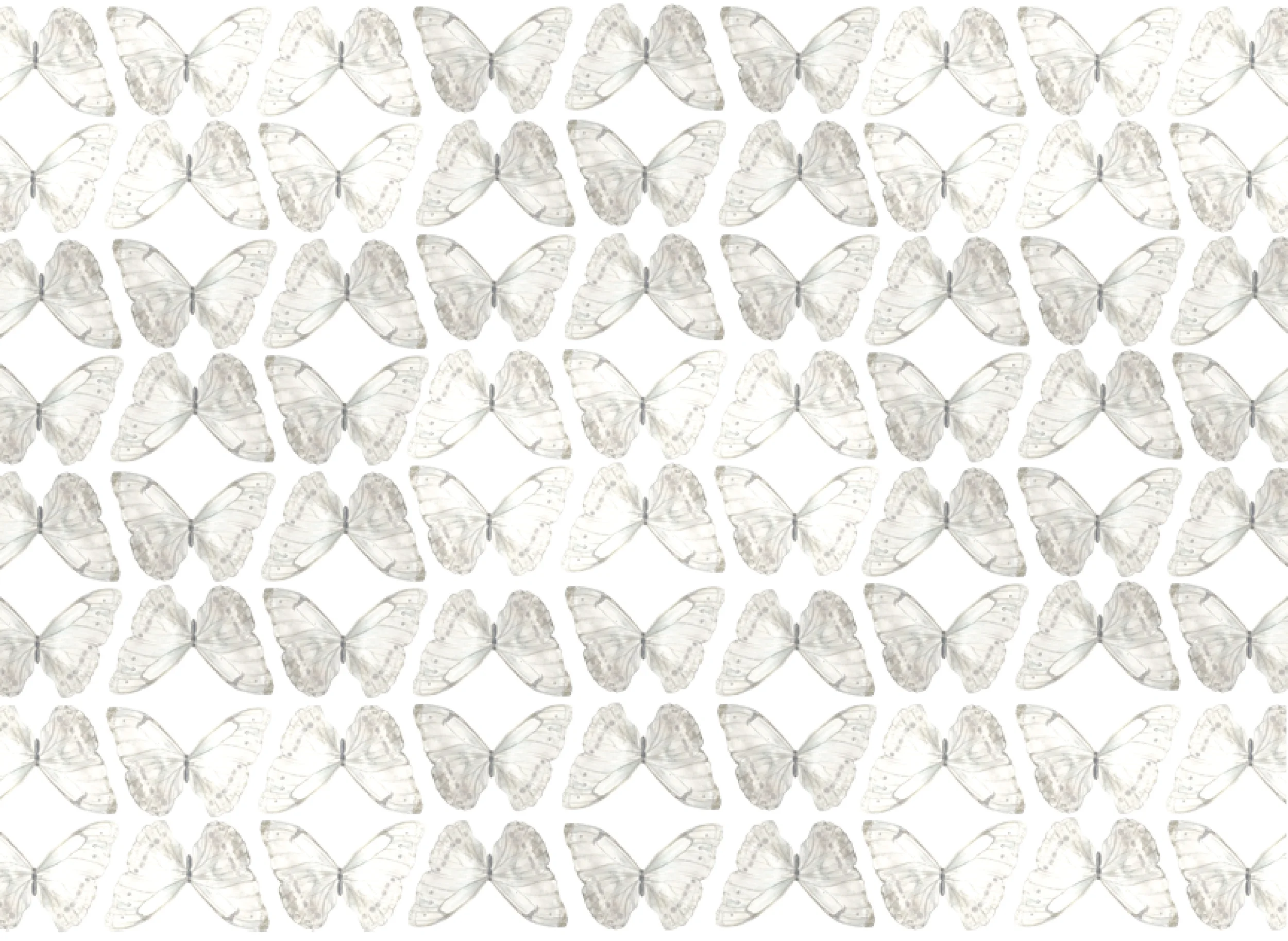  GRAYSCALE BUTTERFLY PRINT 