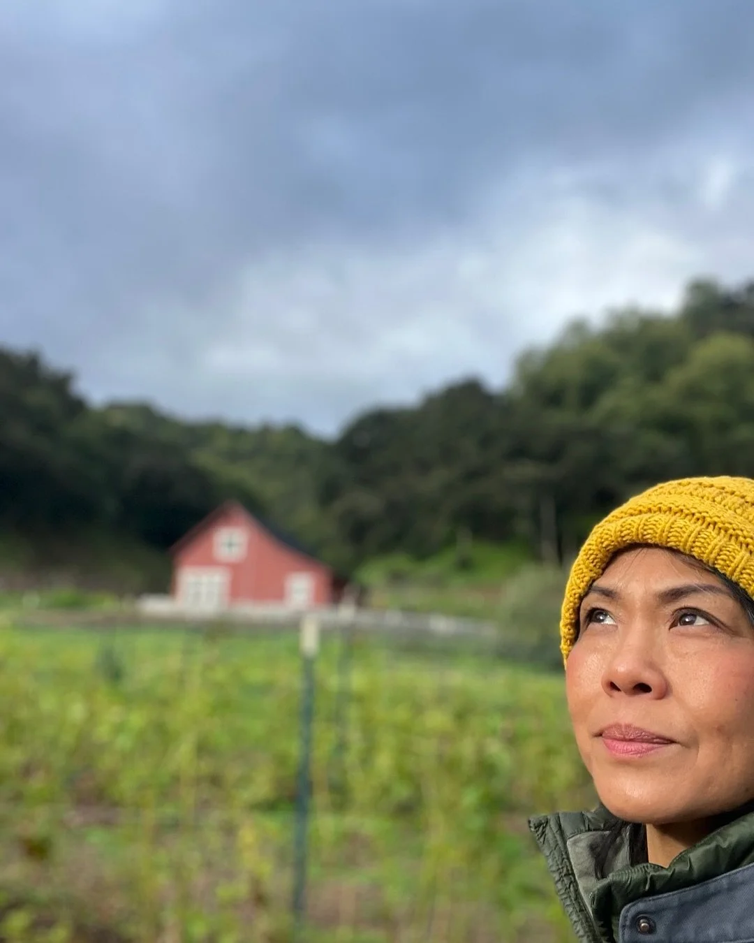 You again? Obviously, we need the rain, but we were just getting used to clear skies and warm days. Even on days like today, this mocktail made with pomelo and aquafaba foam will brightens up the gloomiest of days.
#pomelo #aquafaba #mocktail #cloudy
