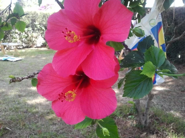 2012-09-24 13.02.51.jpg
