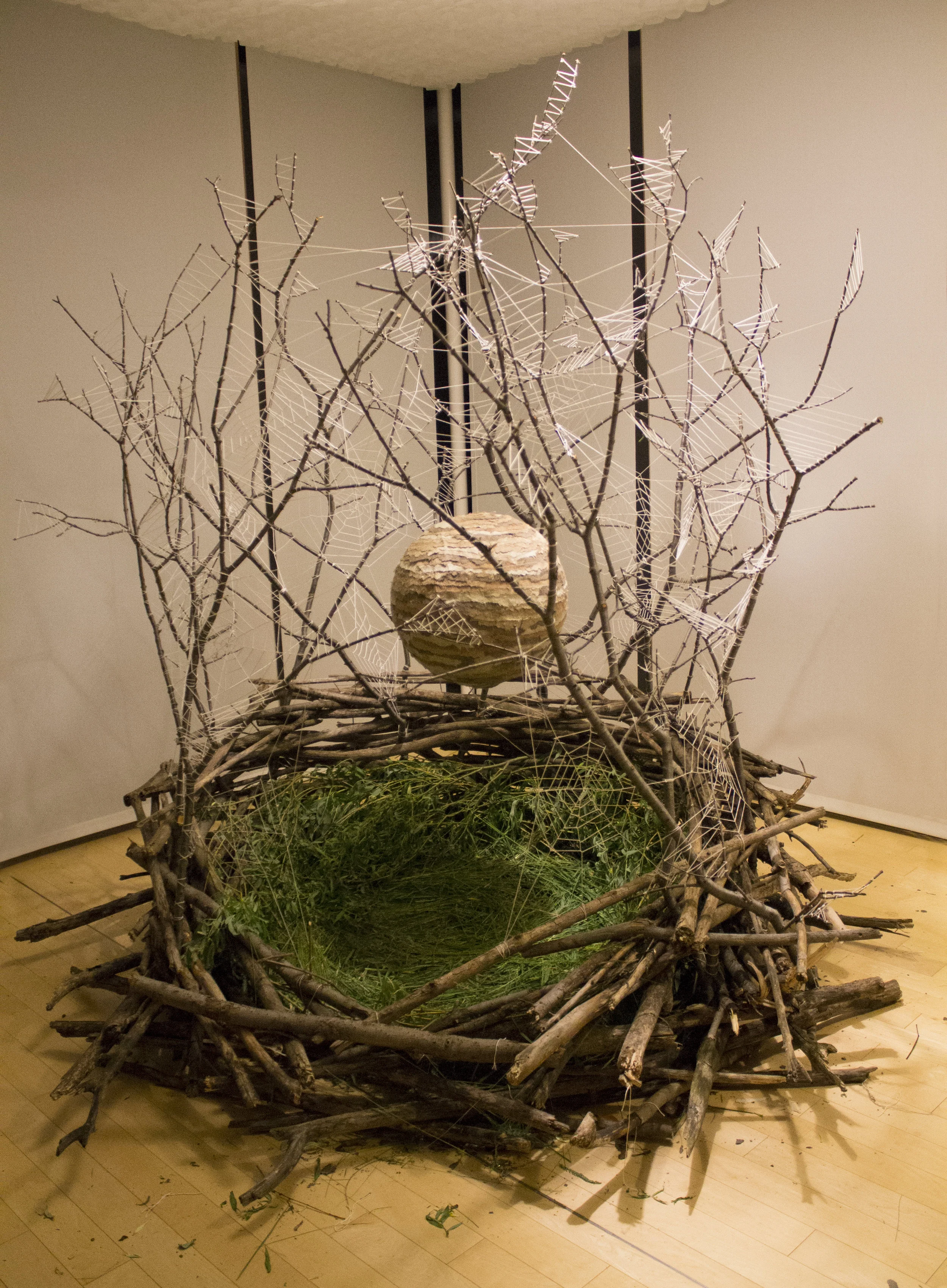 Nest.jpg