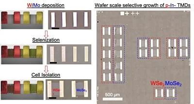 ToC from Advanced Materials