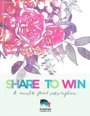 SHARE TO WIN.OPTION1-2.png