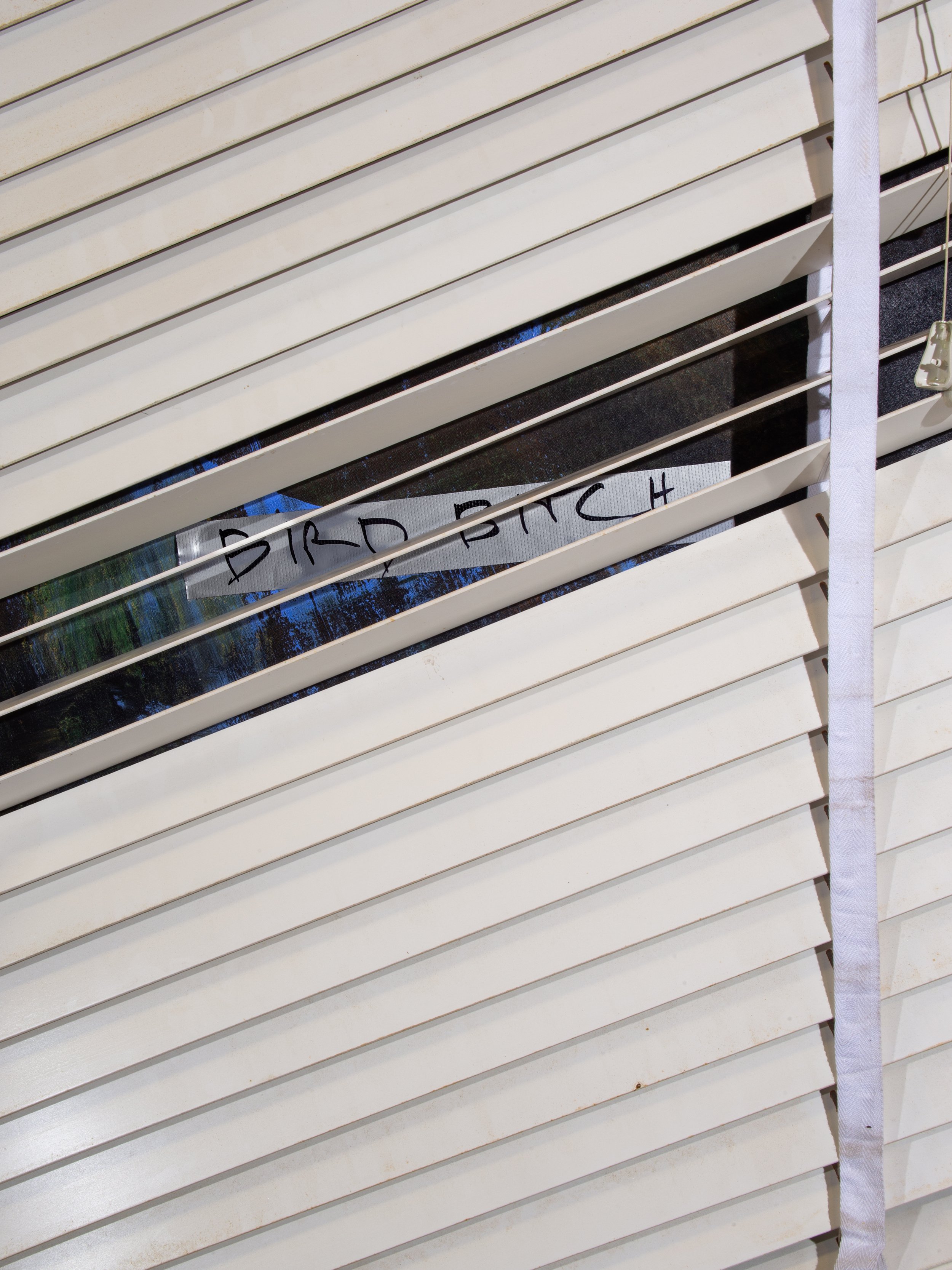 BIRDBITCH-V6.jpg