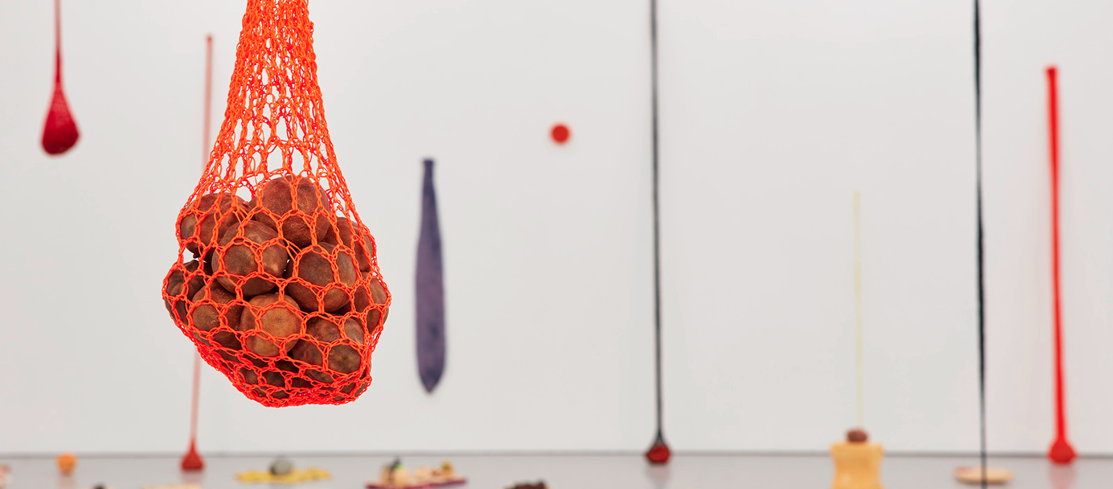 Veronica Ryan: Unruly Objects
