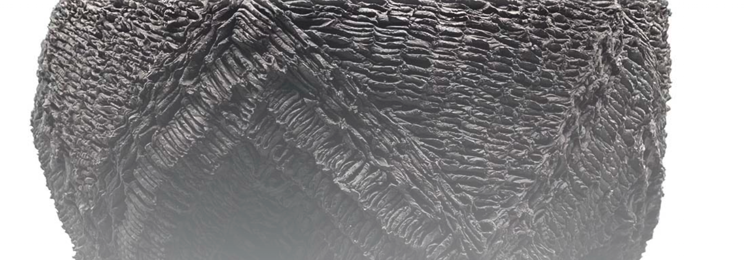 Donté Hayes: Beyond Artifacts