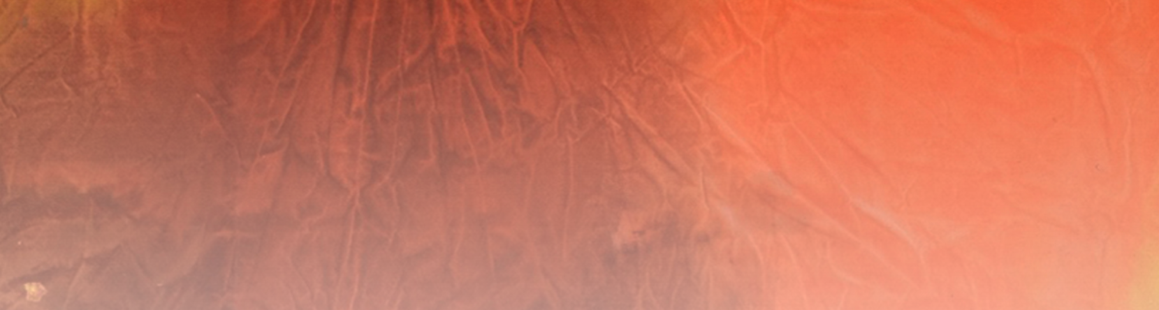 Jamele Wright, Sr.: Men Do Not Stand and Sleep, Only Elephants Can Do That!