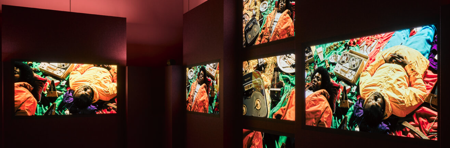 John Akomfrah: The Hour Of The Dog