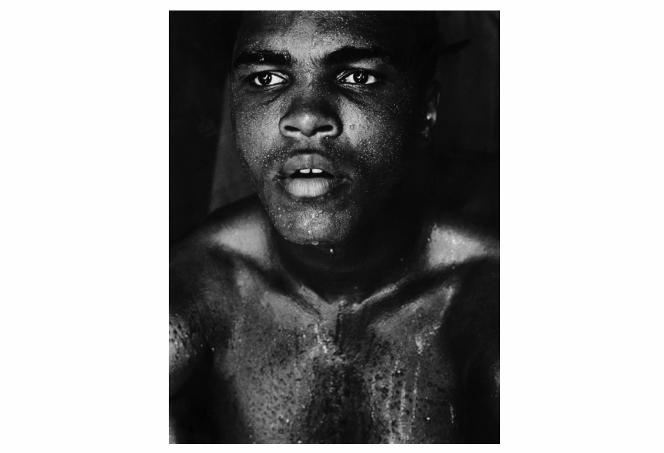 Homeward to the Prairie I Come: Gordon Parks Photographs from the Beach Museum of Art