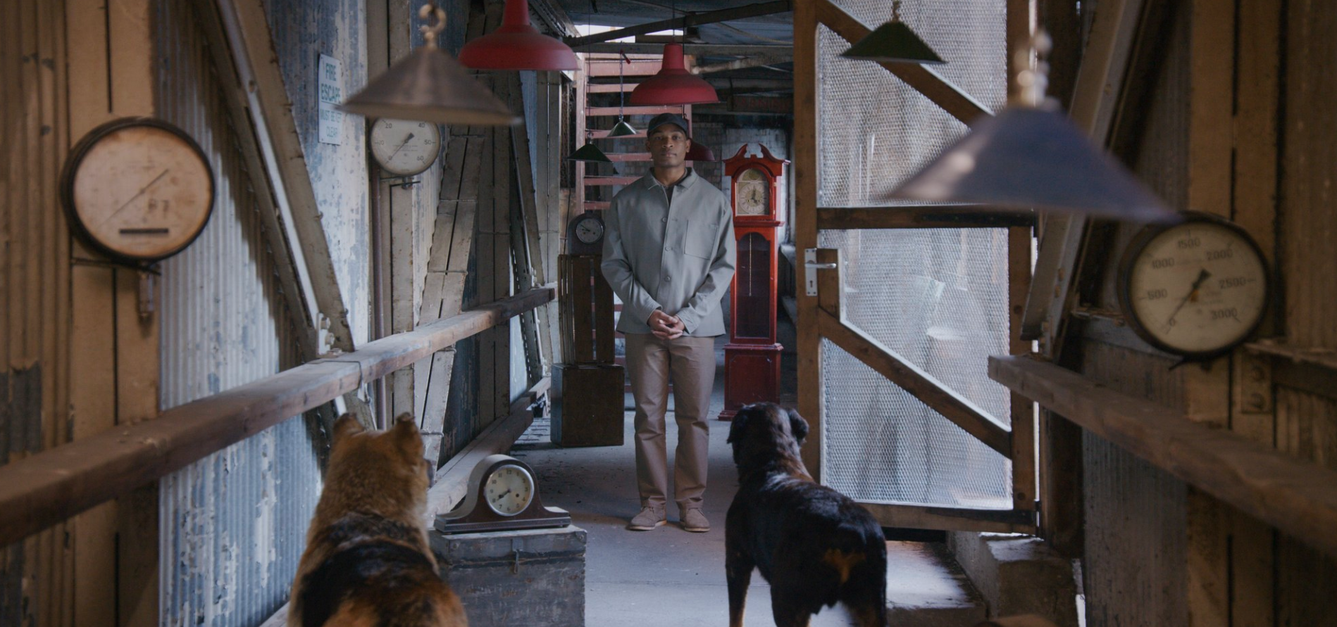 John Akomfrah: The Hour Of The Dog