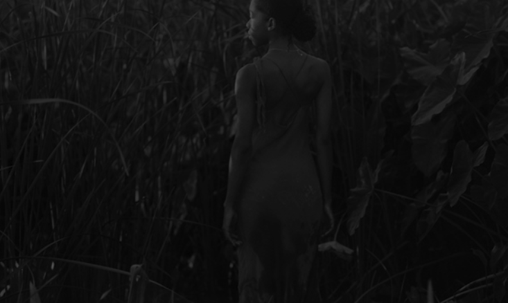 Chanell Stone: Undulation of a Rupture