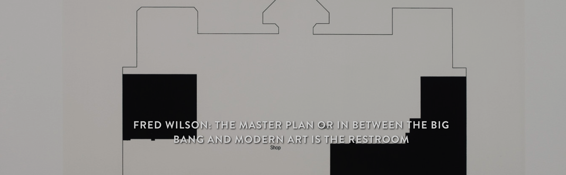 Fred Wilson: THE MASTER PLAN or In Between the Big Bang and Modern Art Is the Restroom