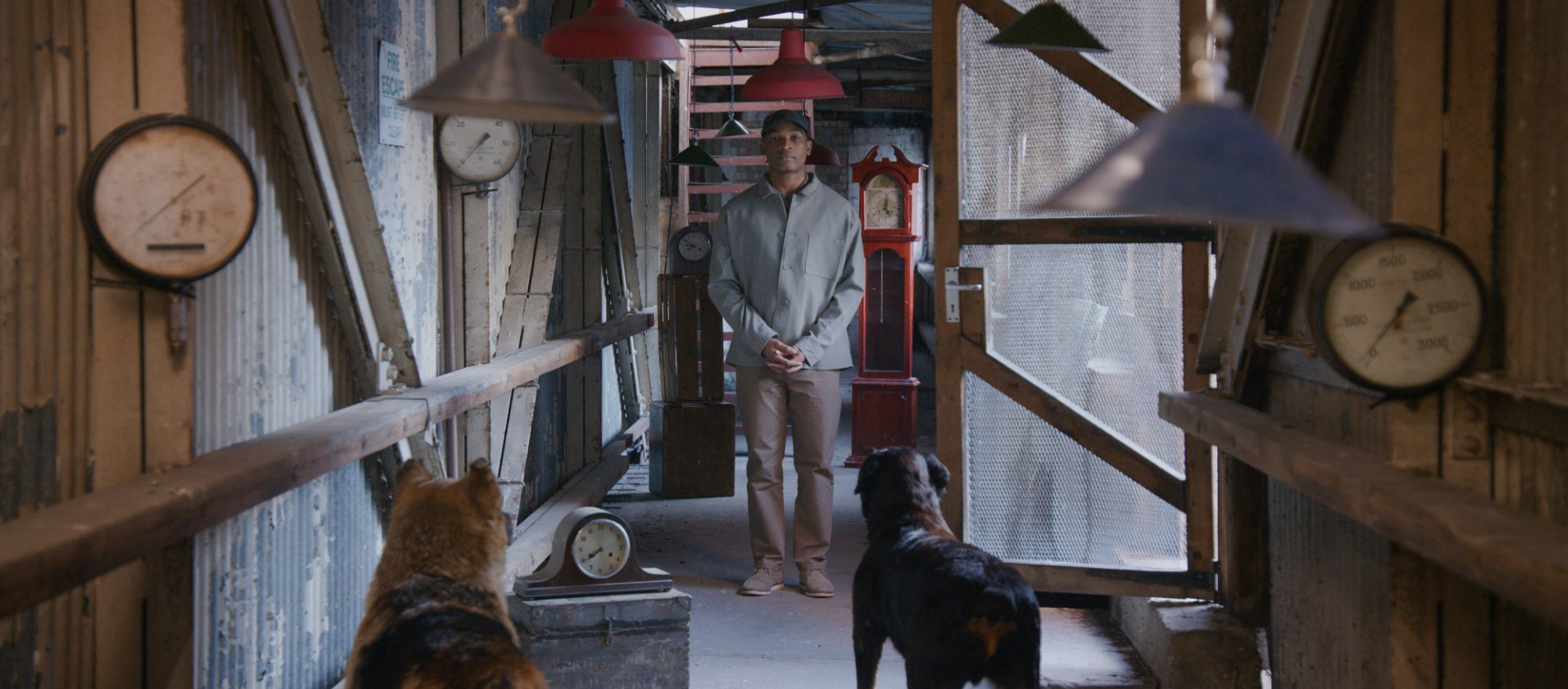 John Akomfrah: The Hour Of The Dog
