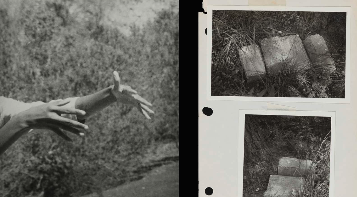 Divination: Beverly Buchanan & Dionne Lee