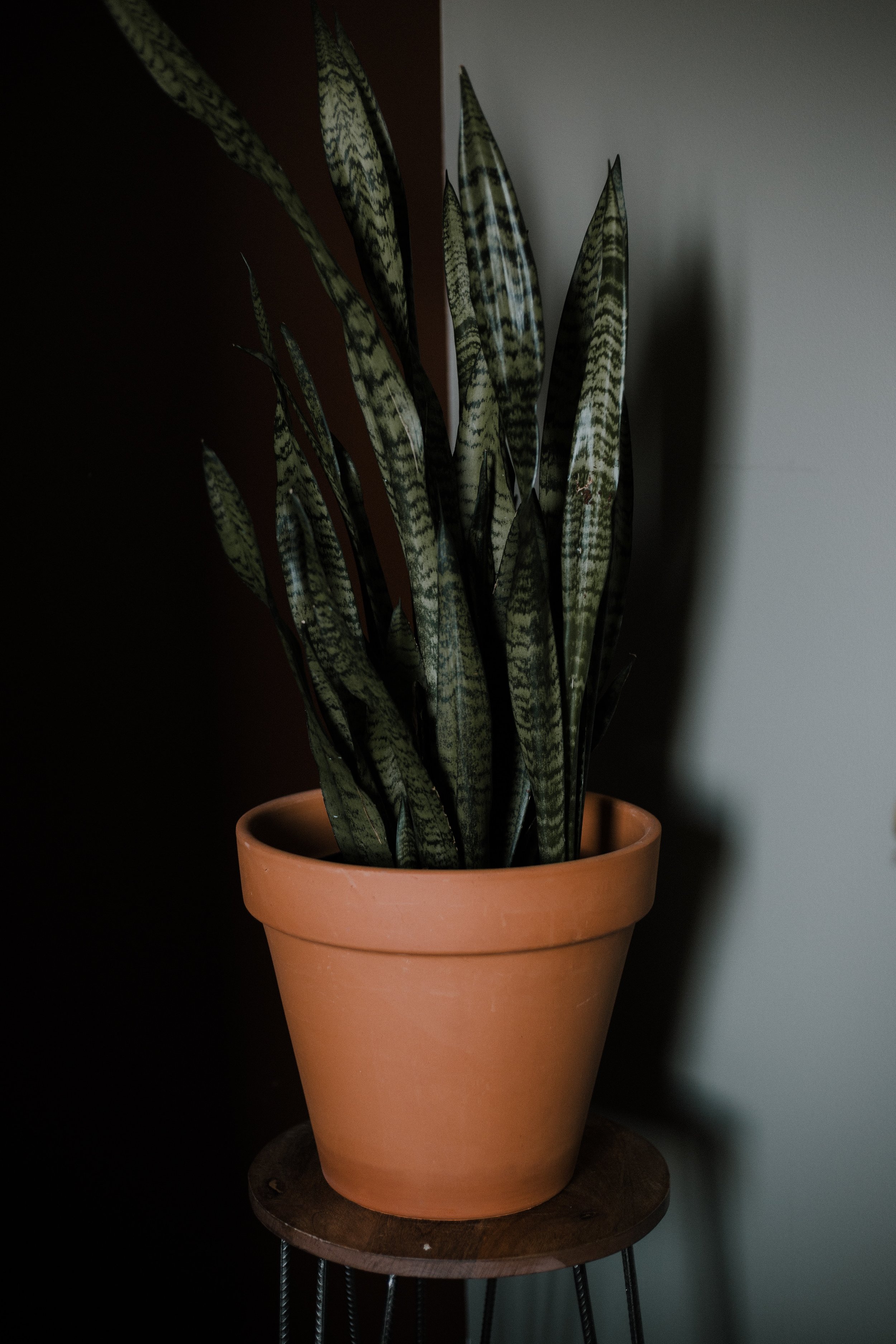 priscilla-du-preez-638148-unsplash.jpg