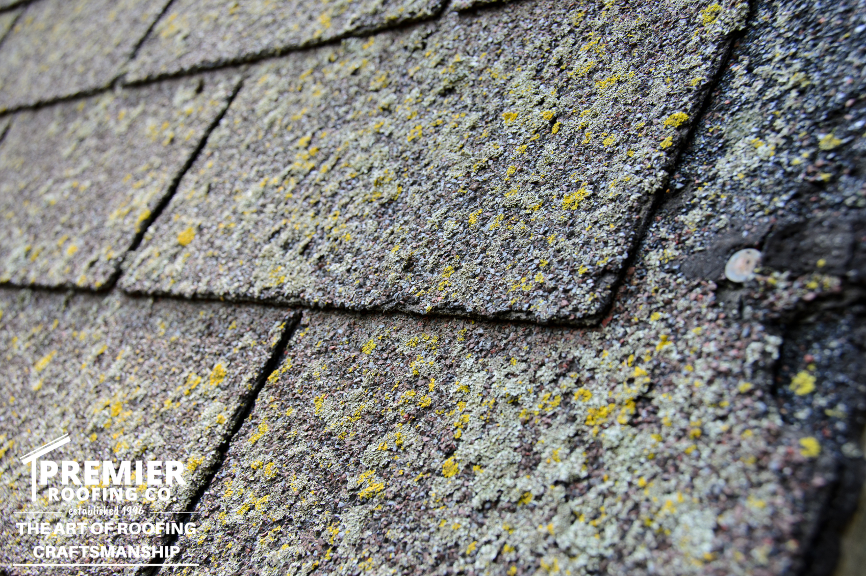 Roofer in Anchorage, AK | Premier Roofing Co.