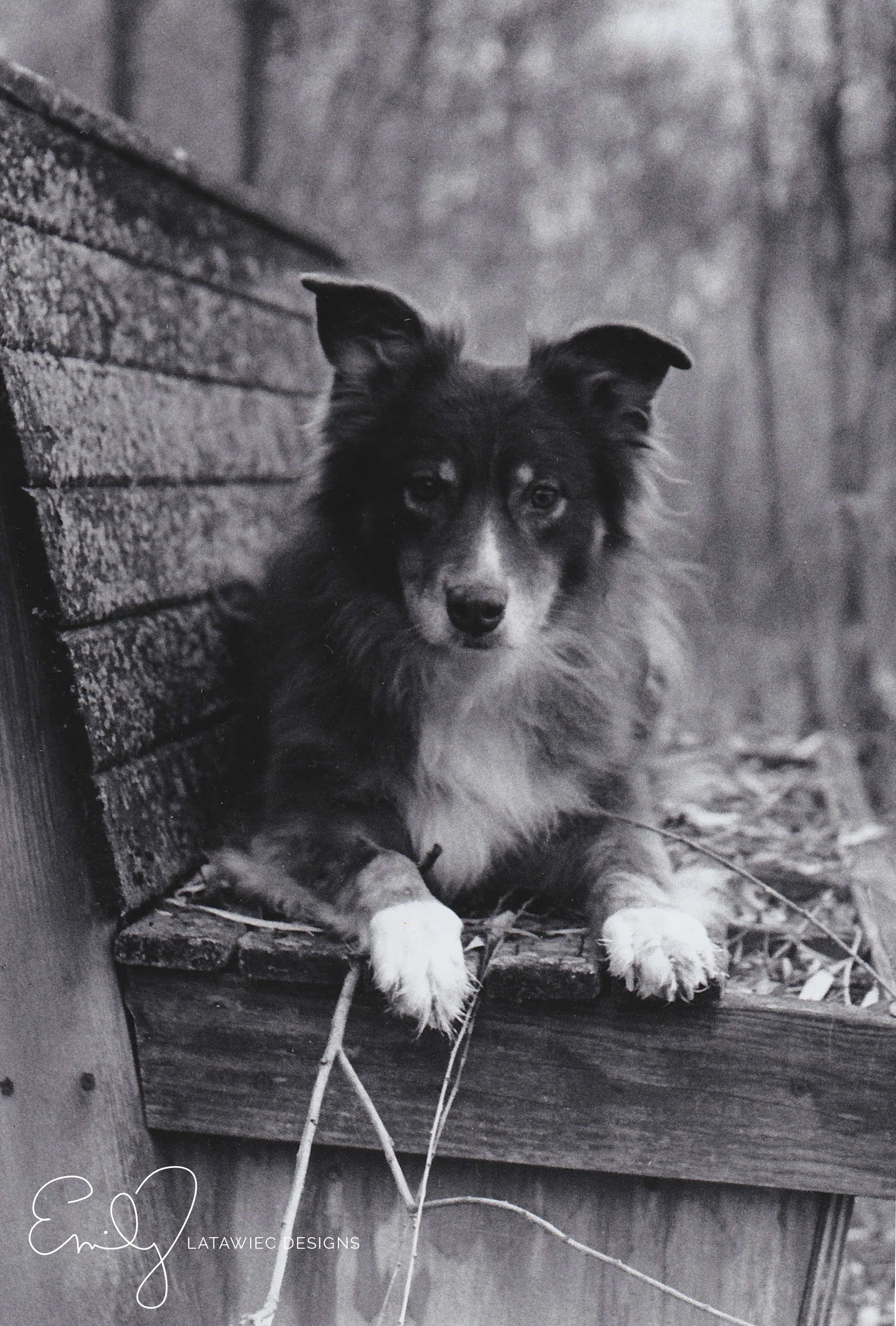 ©-Emily-Latawiec-Designs-ginger-portrait.jpg
