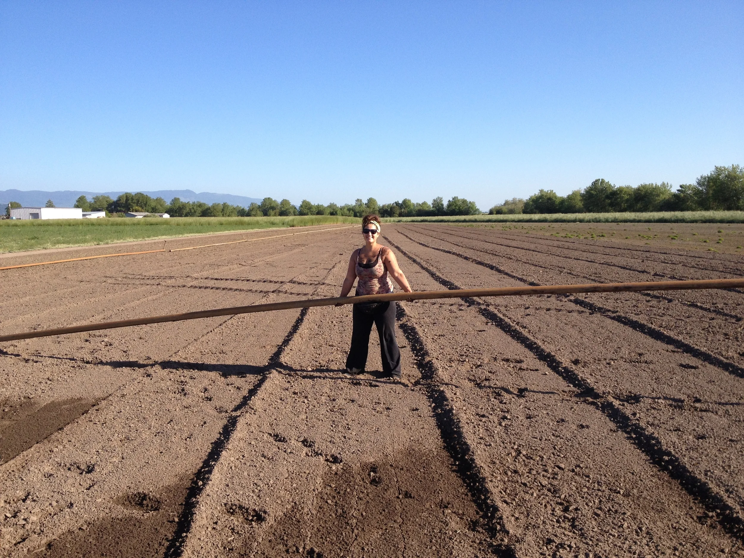 Craigs Iphone Dump 2015 870.JPG