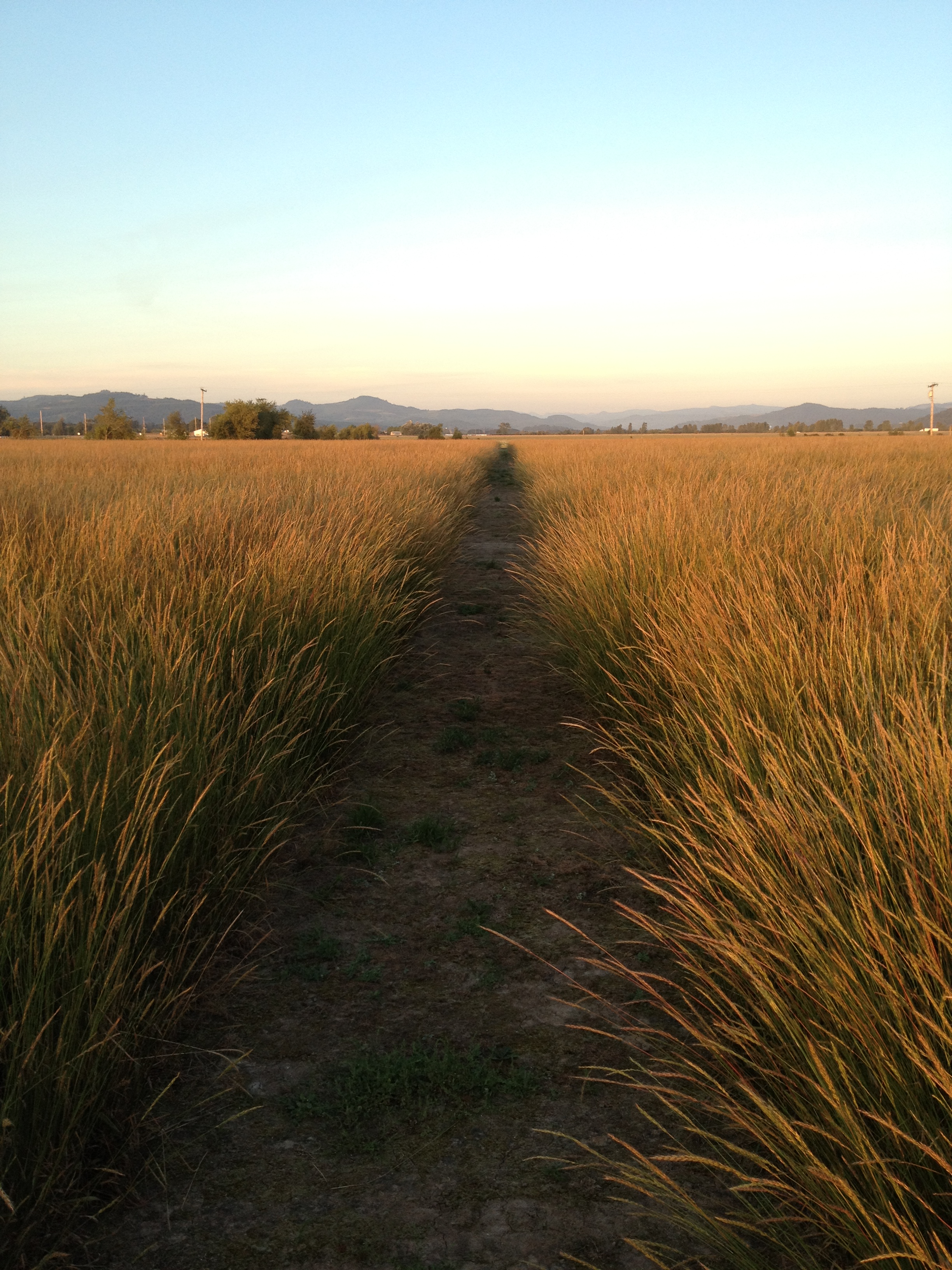 Craig's Iphone Dump 2015 098.JPG