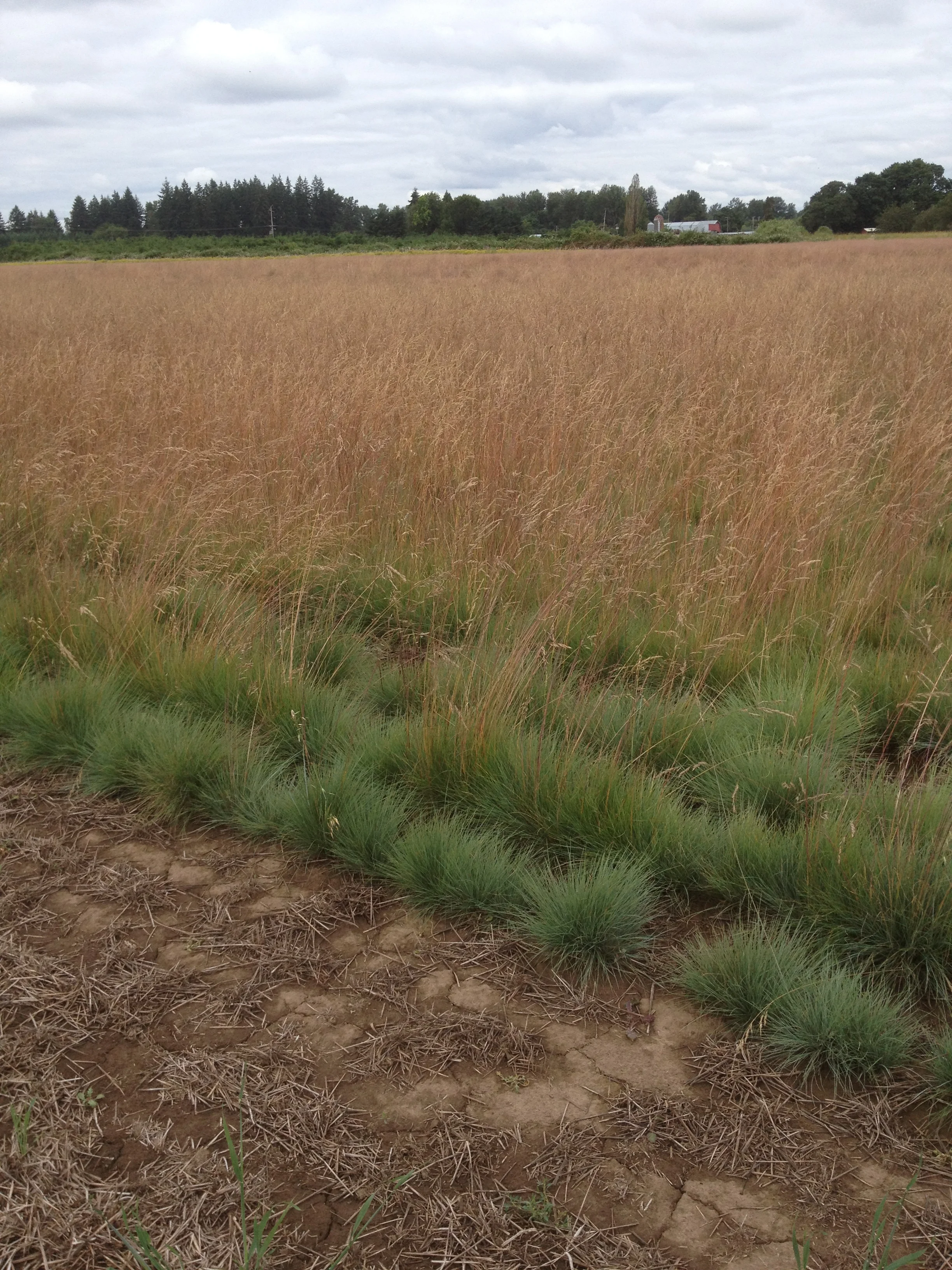 Craig's Iphone Dump 2015 075.JPG