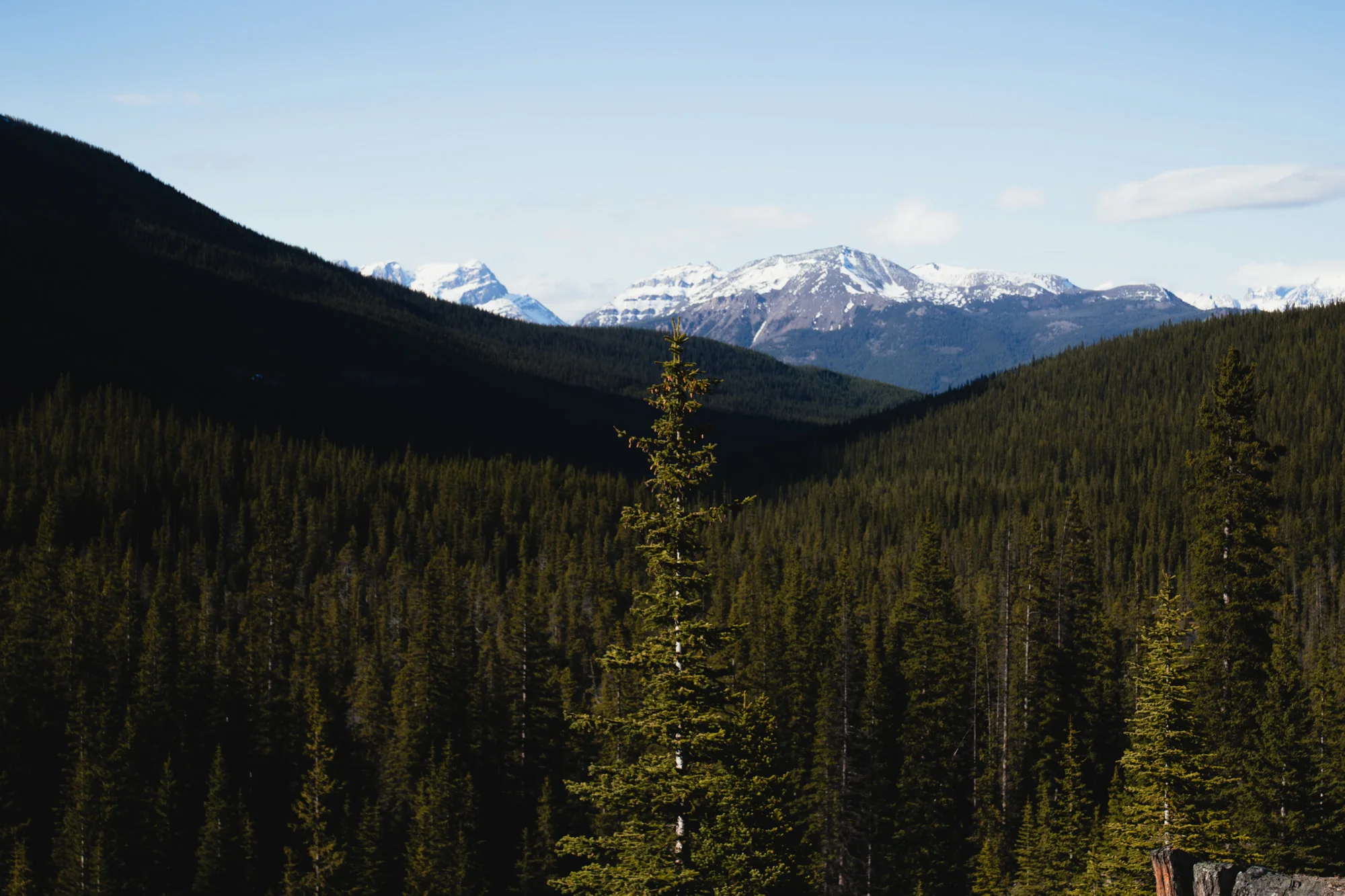 Banff-20170612-25.jpg