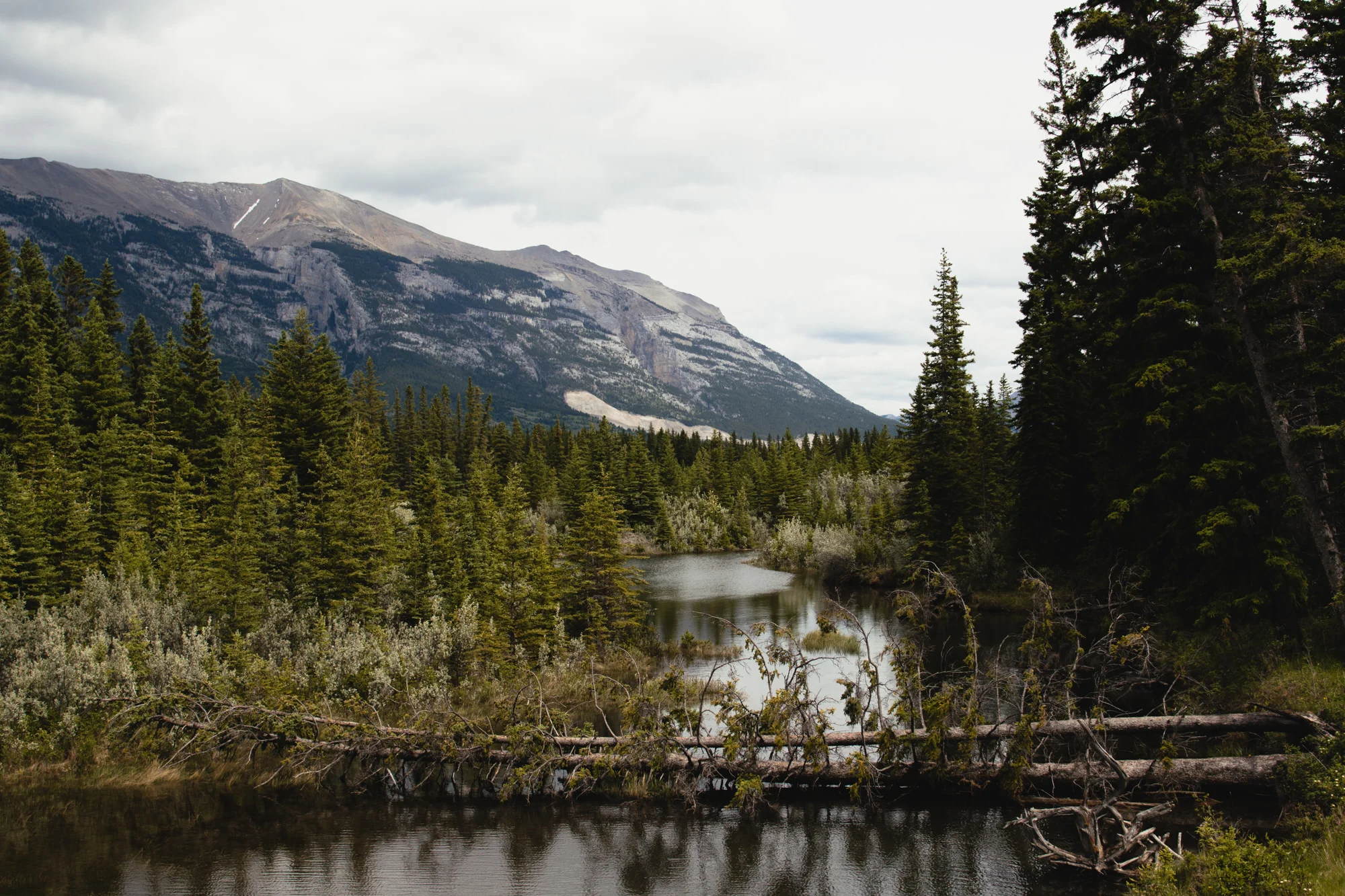 Canmore-20170615-18.jpg