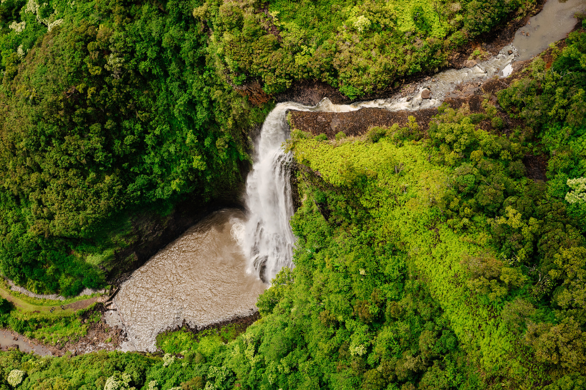 Jurassic Falls!