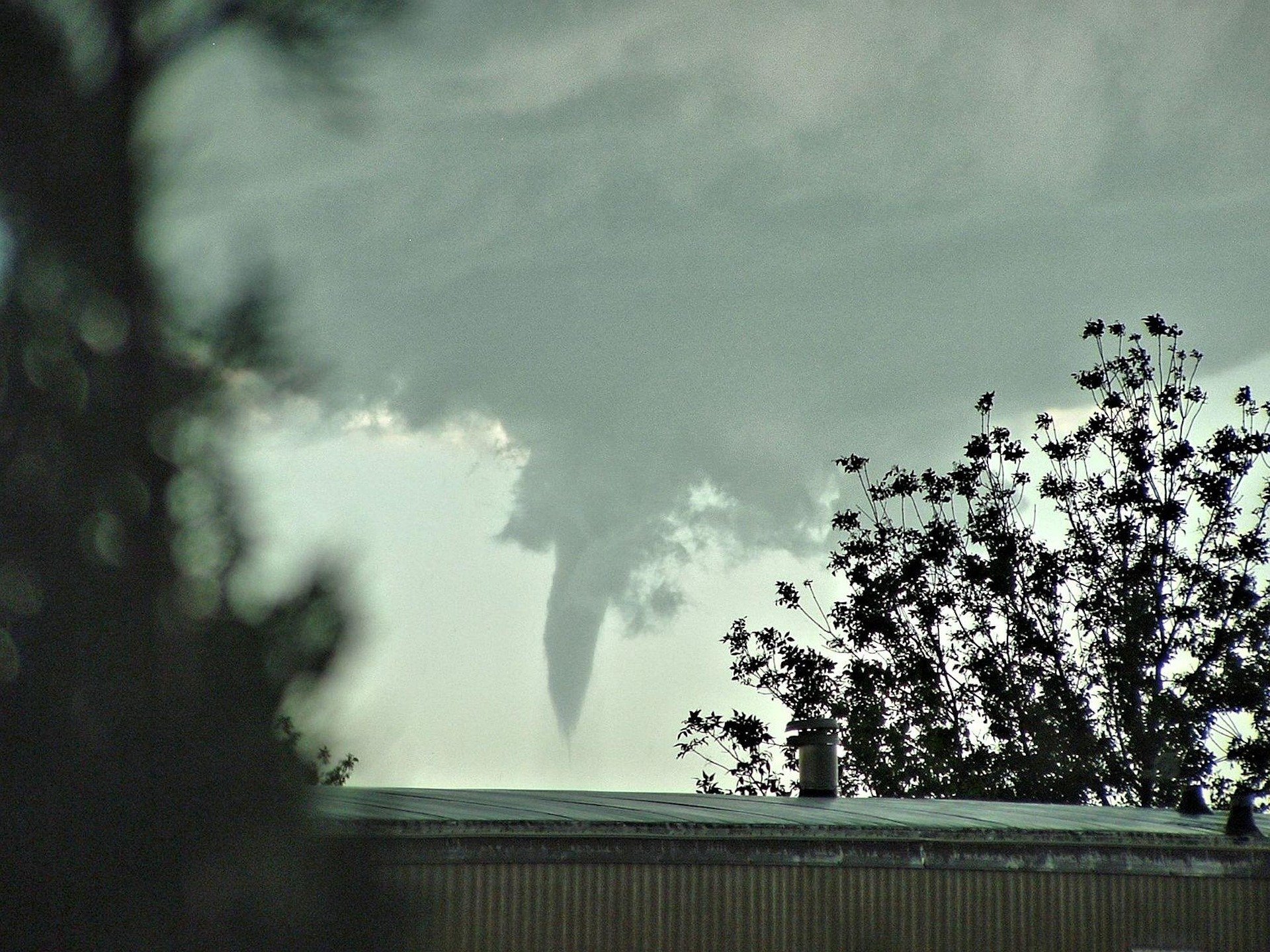 Grandma and the Tornado