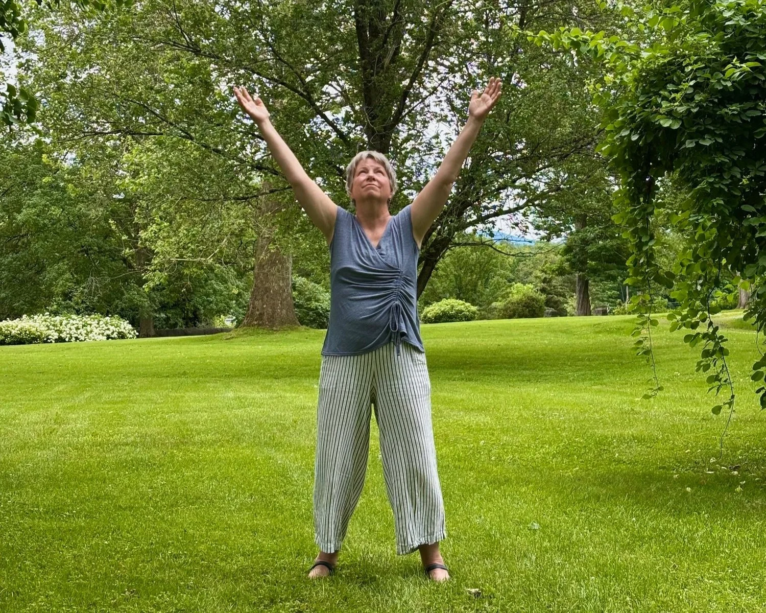 Qigong Among the Trees