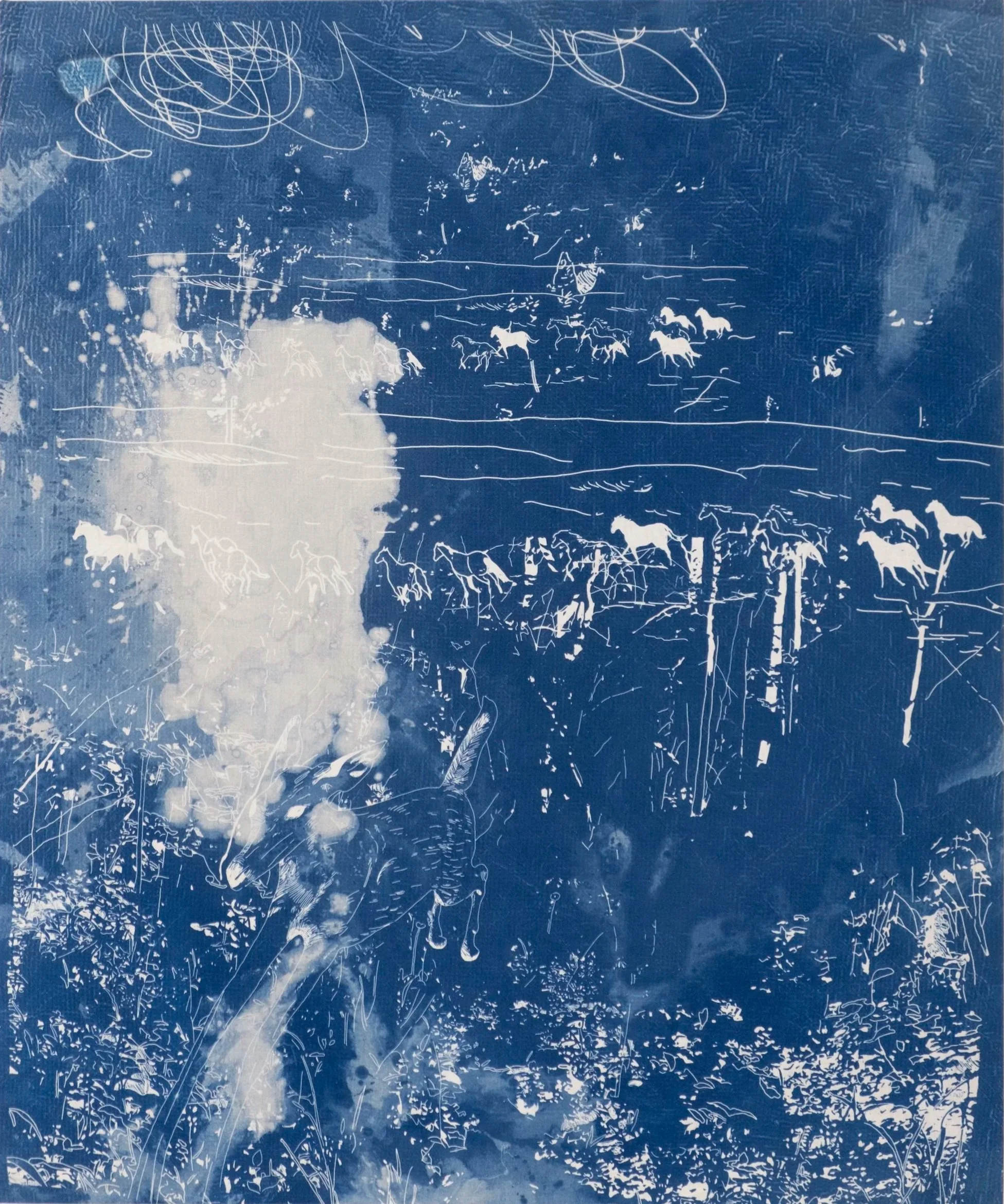 cottoncyanotype.jpg