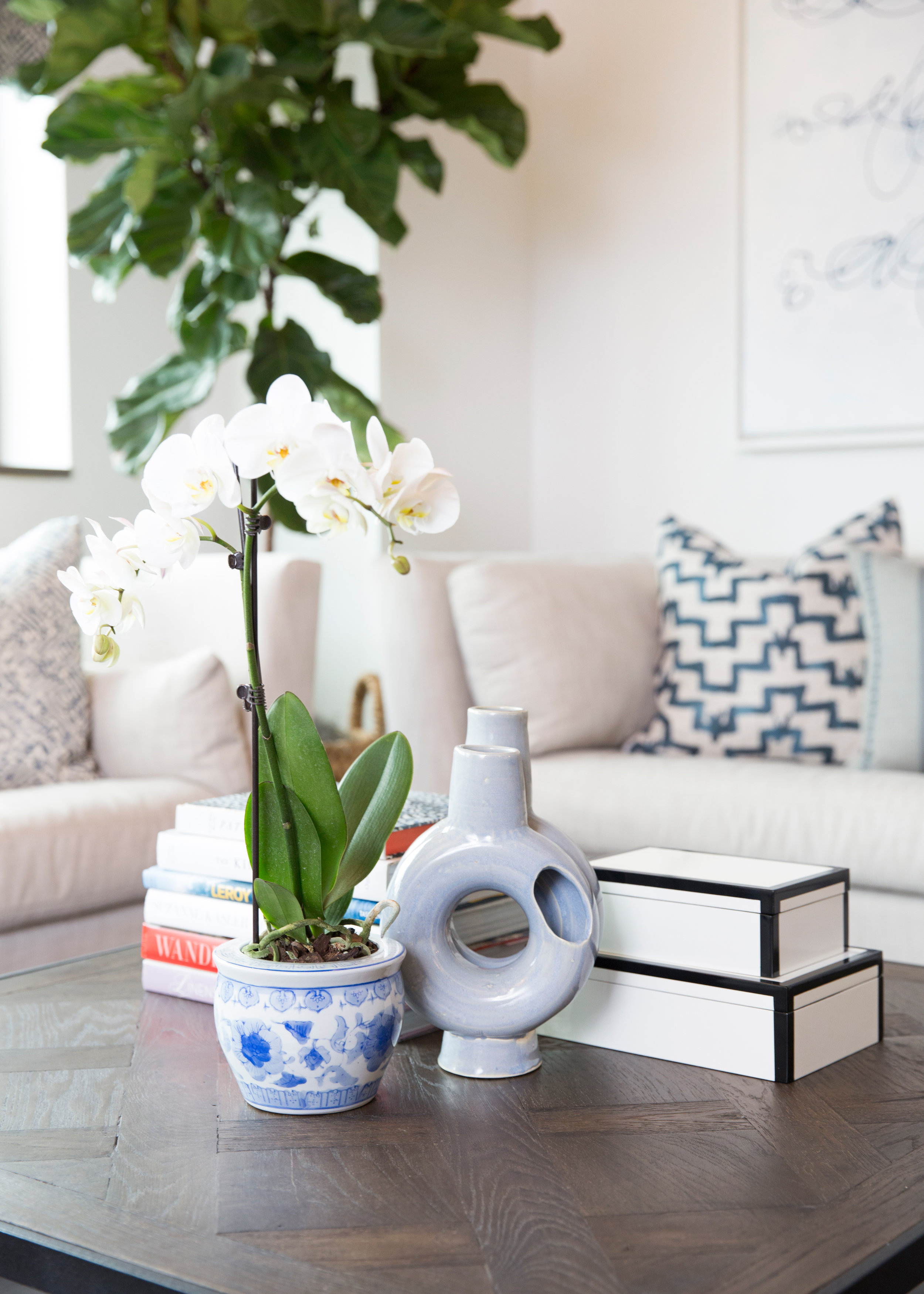 Relaxed and Inviting Doctor's Office // Designed by Pencil & Paper Co.