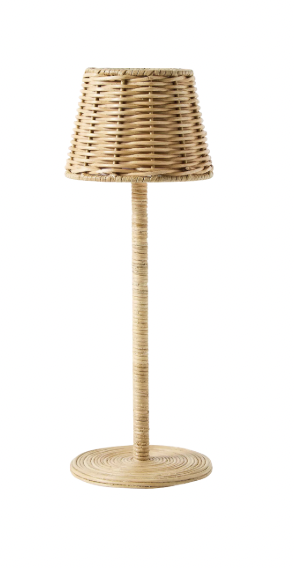 Screen Shot 2026-01-12 at 1.17.51 PM.png