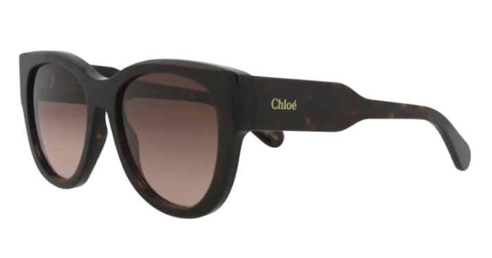 Screen Shot 2026-01-19 at 9.56.28 PM.png