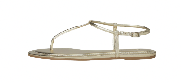 Screen Shot 2026-02-18 at 2.00.34 PM.png