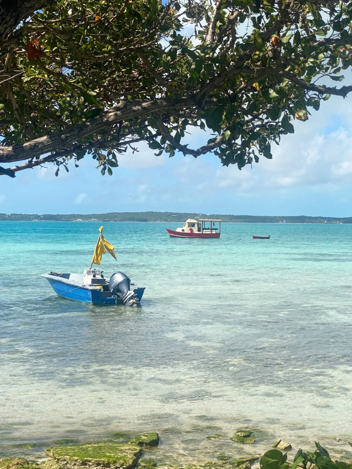 Postcards from the island! 🙌 Soaking up the MAGIC of everyday scenes on Harbour Island. 🏝️ #pencilandpapercotravel #pictureperfect #accidentallywesanderson