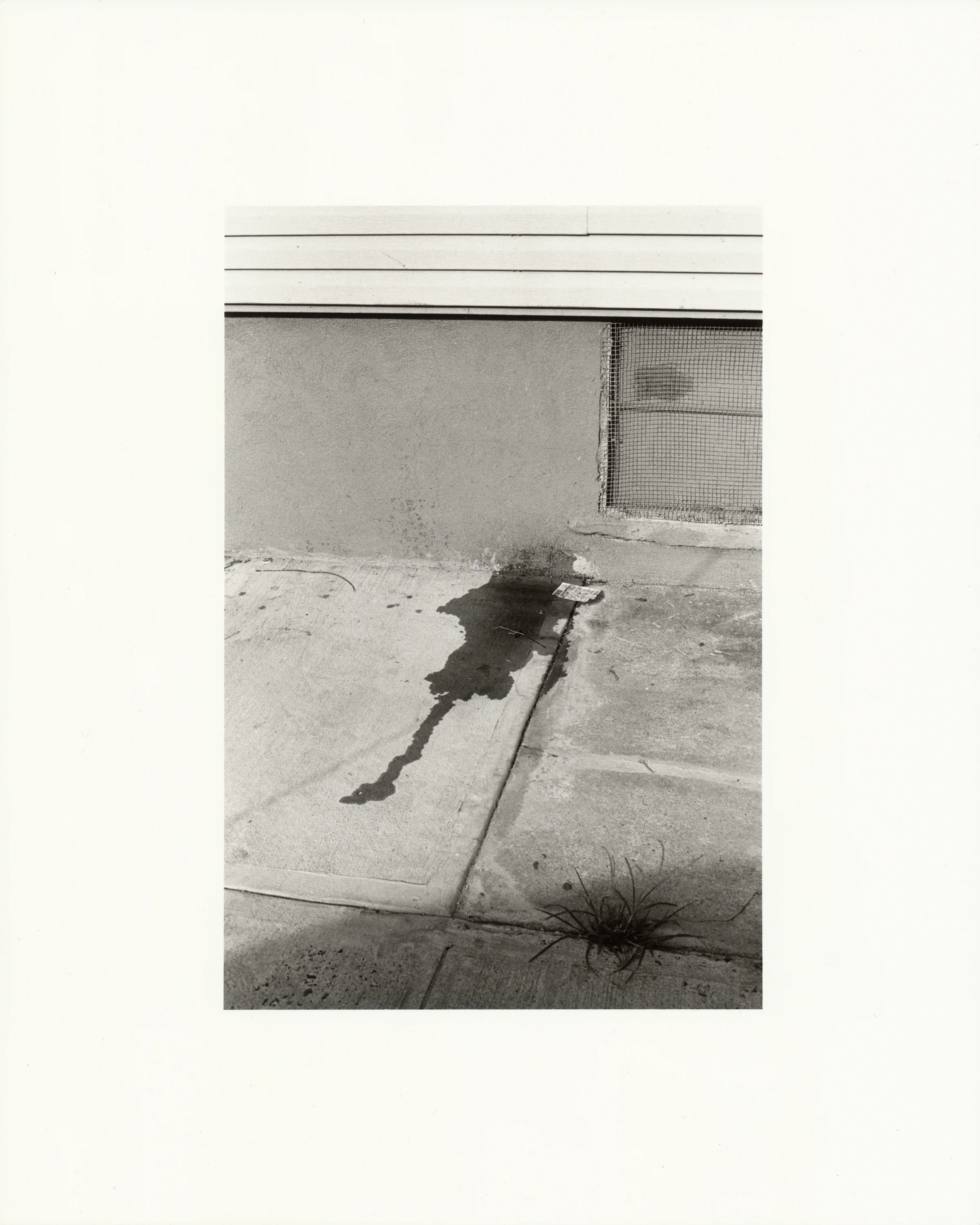 Untitled , 2013 gelatin silver print, selenium toned; printed 2019 image 4.3 x 6.5 inches paper 8 x 10 inches
