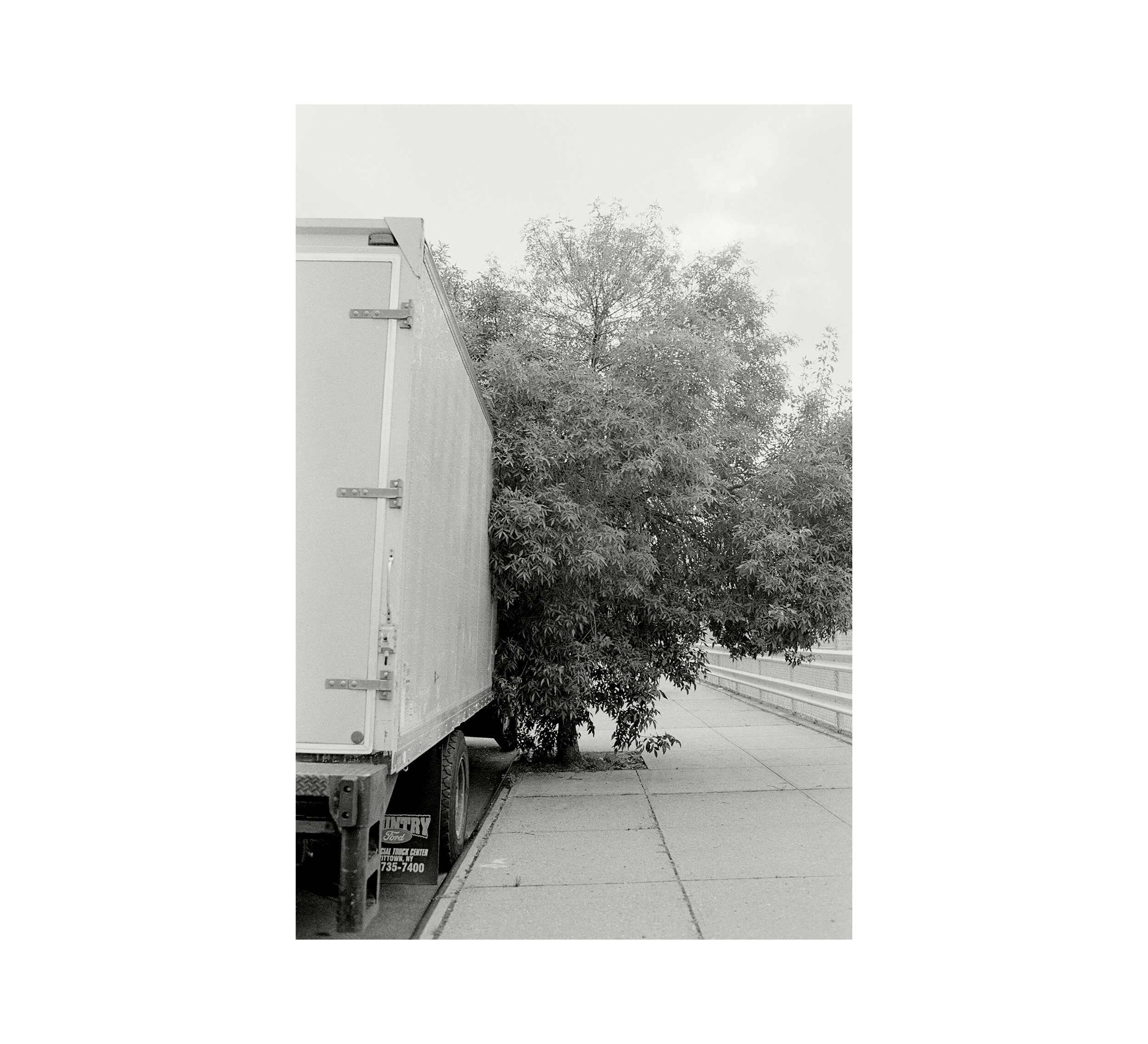   Tree On Stagg , 2013 gelatin silver print image 6 1/2 x 4 3/8 in paper 10 x 8 in 
