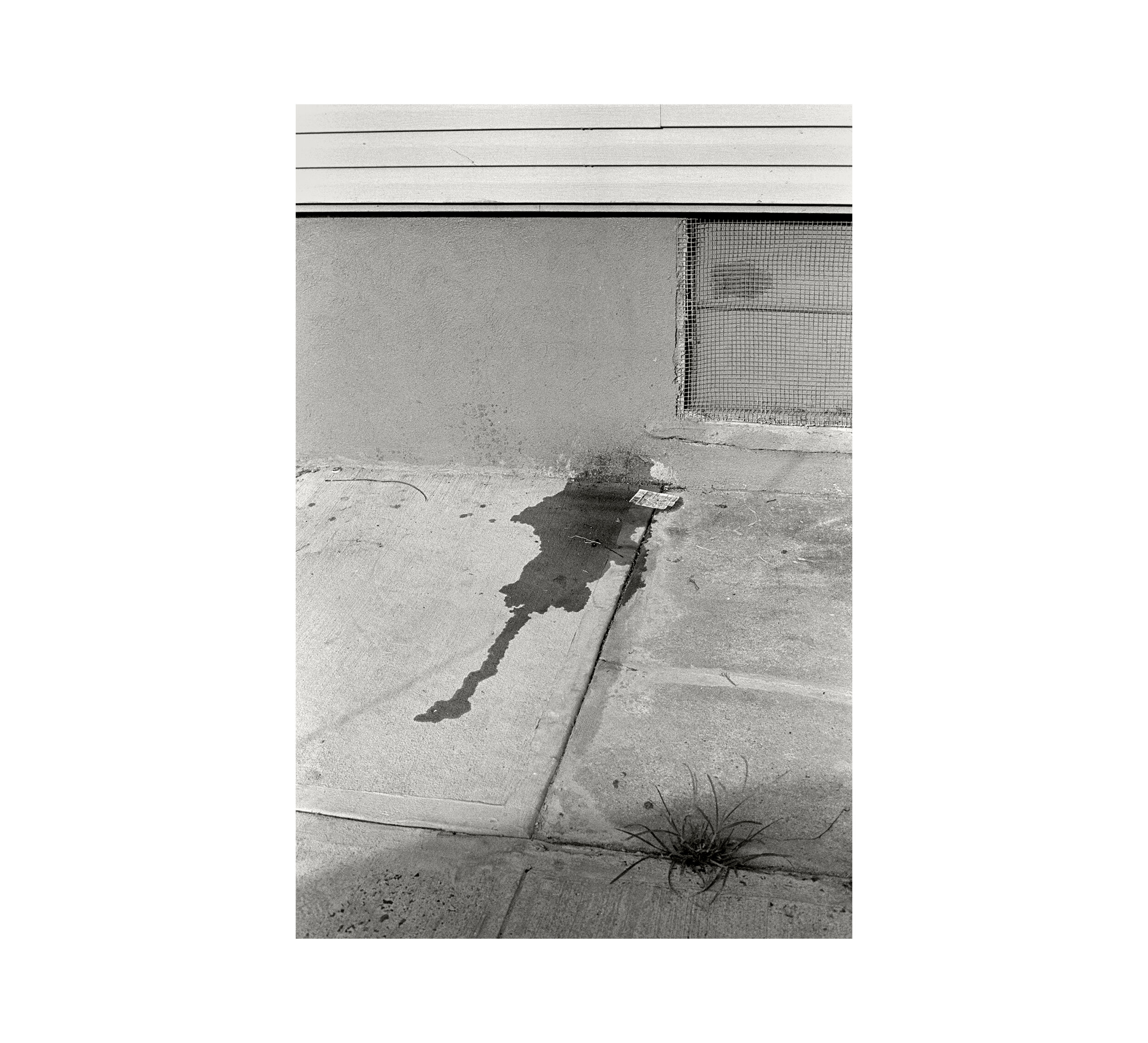   West Street (piss) , 2013 gelatin silver print image 6 1/2 x 4 3/8 in paper 10 x 8 in 